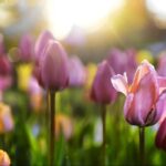 【必見】榮倉奈々の魅力を動画で楽しむ：気取らない素顔その素顔と美しさを一気にチェック！