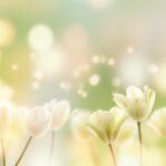 【注目】蒔田彩珠の魅力を一気にチェック！演技力と存在感に迫る：厳選動画まとめ